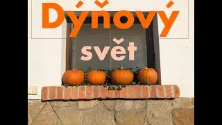 DÝŇOVÝ SVĚT🎃| Výlet za dýněmi 🎃vlog 6🎃