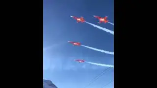 Swiss Tigers Over The Alps #shorts