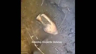 Define Anı