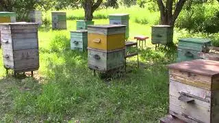 Облёт  малость  попозже    по  времени