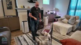 Dog playpen, Dog Fence for outdoor or indoor use
