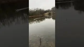 Floats