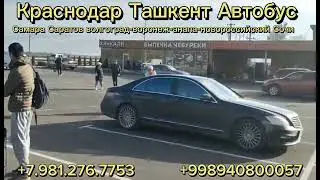 Краснодар Ташкент #шошилинч_хабарлар #мусофирлар #2023video #мигранты#официальный #рейсы