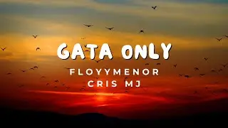 FloyyMenor, Cris MJ - Gata Only (Letra)