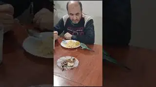 Kuşum obez oldu ne bulursa götürüyo hey maşallah