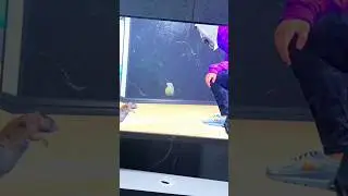 Джела жалко😅🤣