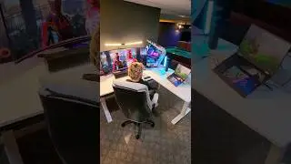 Gaming on a laptop or PC? 🎮🔥 (Adding Dual Portable Monitor by InnoView to Setup) 