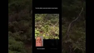 #те