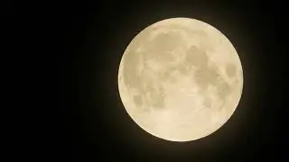 No Copyright Full Moon Video | Night Background | Full Dark Moon Video 4k