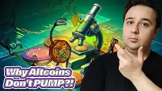 2024 Crypto Shock!: Are You Holding the Next Big Thing or Fool's Gold?
