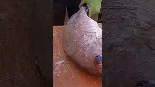 ١١ مارس ٢٠٢٣