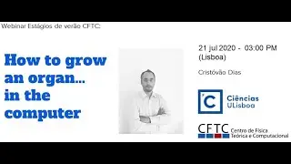 How to grow an organ… in the computer (Cristóvão Dias)