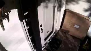 Bird attacks security camera
