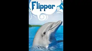 Flipper the Dolphin's Ocean Adventure!
