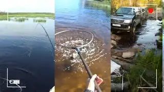 Выманил стаю окуня из травы. Рыбалка в Карелии