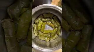 Долма