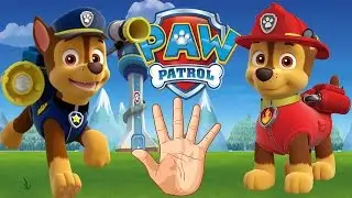 PAW PATROL Finger Family Cartoons | MY FINGER FAMILY RHYMES