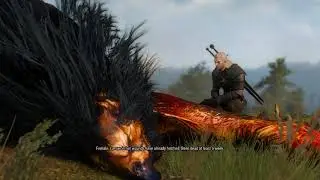 The Witcher 3 GTX 1050ti Ultra