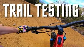 2021 Turbo Levo: Trail Riding