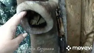 как подшить цигейковую ШУБУ и рукава на шубе .Всё очень просто