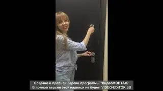 Дверь Torex отзывы