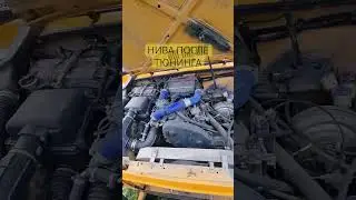 ШОК РЕЗУЛЬТАТ ТЮНИНГ НИВА ВАЗ 2121 #тюнинг #нива #трейсер #внедорожный