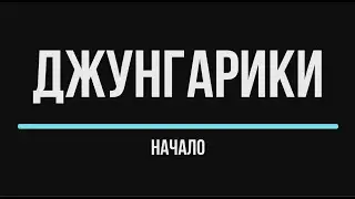 ДЖУНГАРИКИ начало
