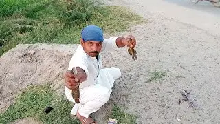fish hunting in my village | fish hunting 2022