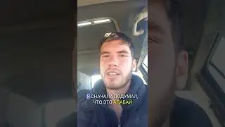 Хозяева бросили собаку на дороге #shorts #собака