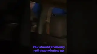 Some Kid Tries to get Teens out of car