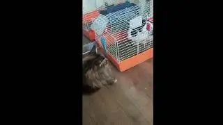 Доброе утро оно такое!