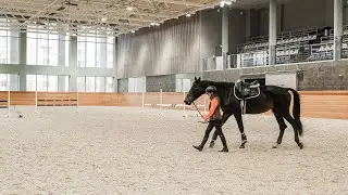 EquiCenter School Северный