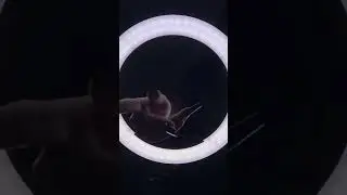 Только посмотрите на этот маникюр! 