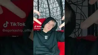 Егор Шип Алиби