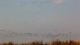Трейлър Притегателната сила на Приморска Добруджа