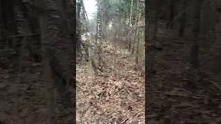 Субботник на очередном пустыре