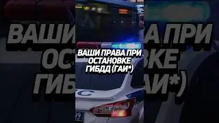 Ваши права при остановке ГИБДД (ГАИ*) 🚔 #забюрист #ГАИ #ГИБДД #авто #водитель