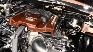 CHIcago's Box Chevy's at Dub Show