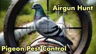 Airgun Pigeon Hunt: Deadly Tracer Pellets