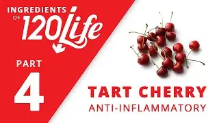 Tart Cherry – Ingredients of 120/Life