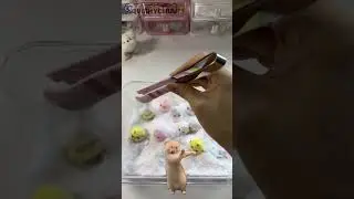 Fluffing our Squishies! 💕 SQUISHYCHUU.COM