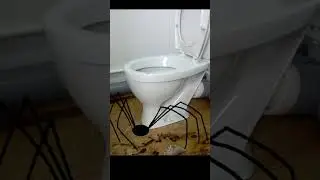 паук
