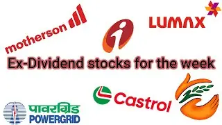 Ex Dividend for the period 08 to 10 Aug 2023