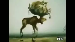 Лось-Россия. (мульт.)