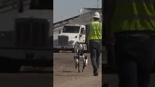 Taking the robot dog for a walk #bostondynamics #robotdog #robotics #shorts