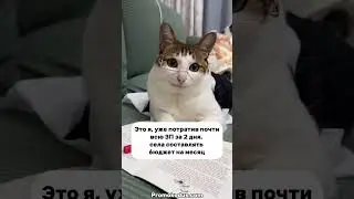 Никогда не поздно начать💪🏻 #жиза #trending #ржака #рекомендации #прикол #мем #кот #животные