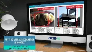 Putting visual recognition in context