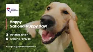 Happy National Puppy Day