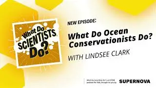 Coastal conservation: Diving into ocean conservation with Lindsee Clark