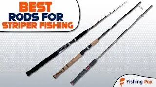 Best Rods For Striper Fishing